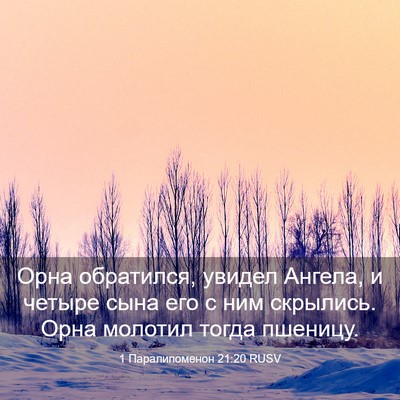 Picture 03 - 1 Паралипоменон 21:20 RUSV - Орна обратился, увидел - Bible Verse Picture