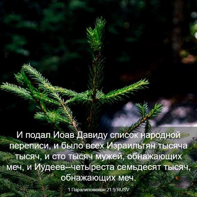 Picture 03 - 1 Паралипоменон 21:5 RUSV - И подал Иоав Давиду список - Bible Verse Picture