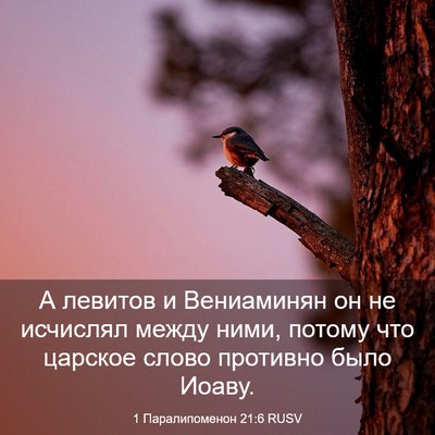 Picture 03 - 1 Паралипоменон 21:6 RUSV - А левитов и Вениаминян он - Bible Verse Picture