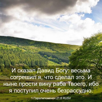 Picture 03 - 1 Паралипоменон 21:8 RUSV - И сказал Давид Богу: весьма - Bible Verse Picture