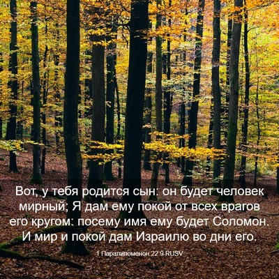 Picture 03 - 1 Паралипоменон 22:9 RUSV - Вот, у тебя родится сын: он - Bible Verse Picture