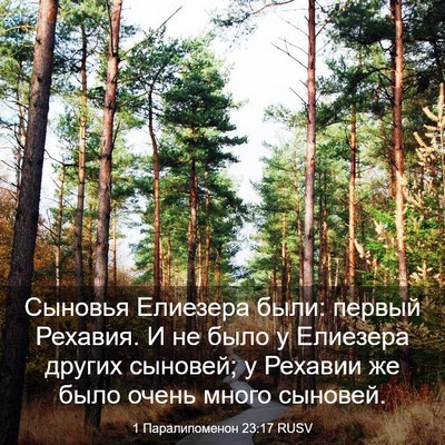 Picture 03 - 1 Паралипоменон 23:17 RUSV - Сыновья Елиезера были: - Bible Verse Picture