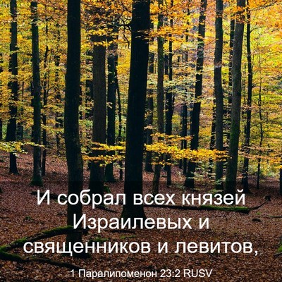 Picture 03 - 1 Паралипоменон 23:2 RUSV - И собрал всех князей - Bible Verse Picture