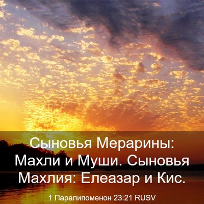 Picture 03 - 1 Паралипоменон 23:21 RUSV - Сыновья Мерарины: Махли и - Bible Verse Picture