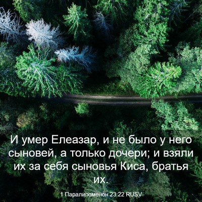 Picture 03 - 1 Паралипоменон 23:22 RUSV - И умер Елеазар, и не было у - Bible Verse Picture