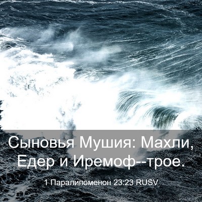 Picture 03 - 1 Паралипоменон 23:23 RUSV - Сыновья Мушия: Махли, Едер - Bible Verse Picture