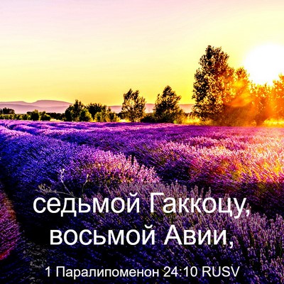 Picture 03 - 1 Паралипоменон 24:10 RUSV - седьмой Гаккоцу, восьмой - Bible Verse Picture