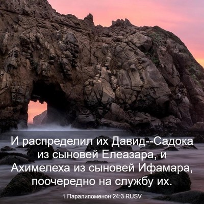 Picture 03 - 1 Паралипоменон 24:3 RUSV - И распределил их - Bible Verse Picture