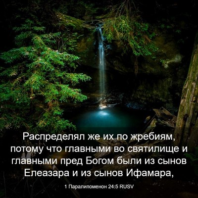 Picture 03 - 1 Паралипоменон 24:5 RUSV - Распределял же их по - Bible Verse Picture