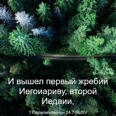 Picture 03 - 1 Паралипоменон 24:7 RUSV - И вышел первый жребий - Bible Verse Picture