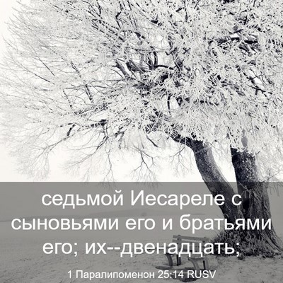 Picture 03 - 1 Паралипоменон 25:14 RUSV - седьмой Иесареле с - Bible Verse Picture