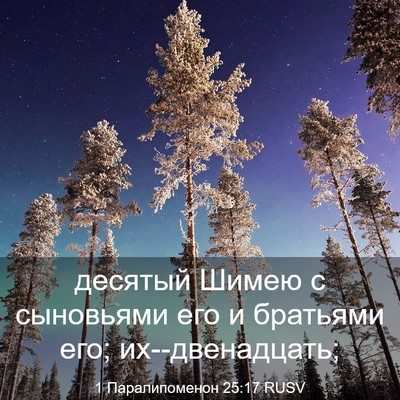 Picture 03 - 1 Паралипоменон 25:17 RUSV - десятый Шимею с сыновьями - Bible Verse Picture