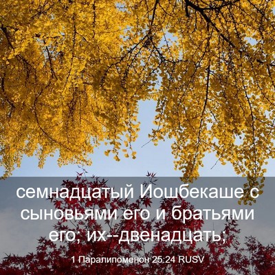 Picture 03 - 1 Паралипоменон 25:24 RUSV - семнадцатый Иошбекаше с - Bible Verse Picture