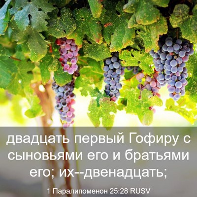 Picture 03 - 1 Паралипоменон 25:28 RUSV - двадцать первый Гофиру с - Bible Verse Picture