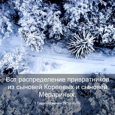 Picture 03 - 1 Паралипоменон 26:19 RUSV - Вот распределение - Bible Verse Picture