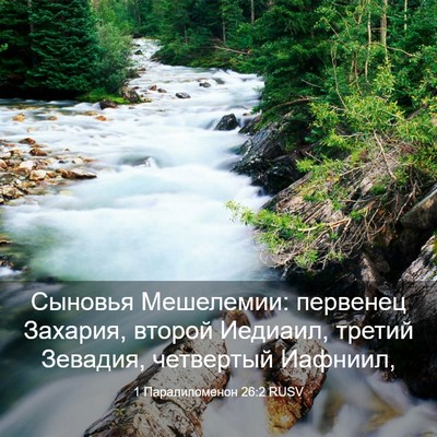 Picture 03 - 1 Паралипоменон 26:2 RUSV - Сыновья Мешелемии: - Bible Verse Picture