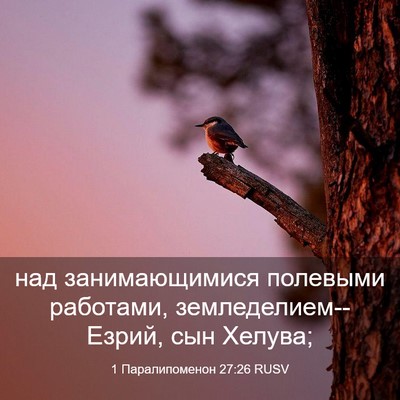 Picture 03 - 1 Паралипоменон 27:26 RUSV - над занимающимися - Bible Verse Picture
