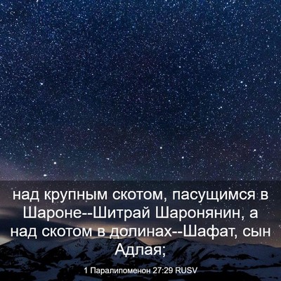 Picture 03 - 1 Паралипоменон 27:29 RUSV - над крупным скотом, - Bible Verse Picture