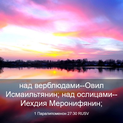 Picture 03 - 1 Паралипоменон 27:30 RUSV - над верблюдами--Овил - Bible Verse Picture