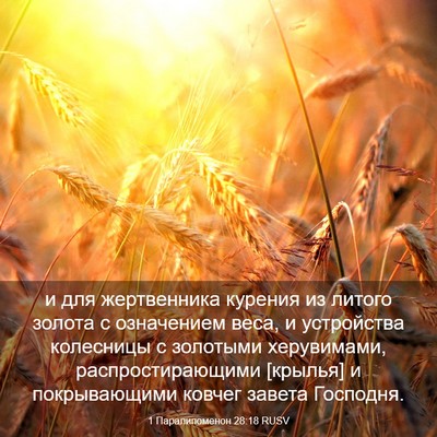 Picture 03 - 1 Паралипоменон 28:18 RUSV - и для жертвенника курения - Bible Verse Picture