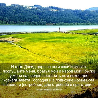 Picture 03 - 1 Паралипоменон 28:2 RUSV - И стал Давид царь на ноги - Bible Verse Picture