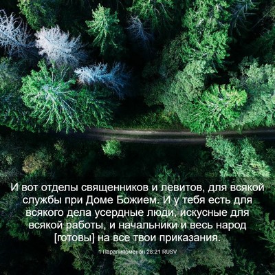 Picture 03 - 1 Паралипоменон 28:21 RUSV - И вот отделы священников и - Bible Verse Picture