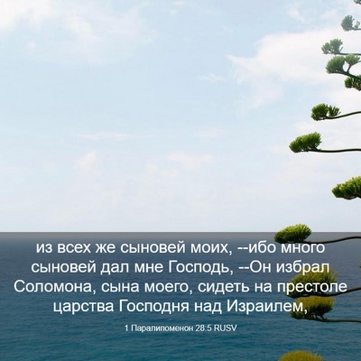 Picture 03 - 1 Паралипоменон 28:5 RUSV - из всех же сыновей моих, - Bible Verse Picture