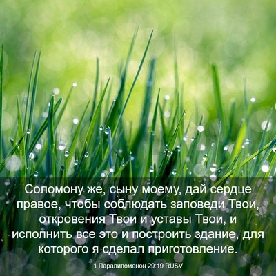 Picture 03 - 1 Паралипоменон 29:19 RUSV - Соломону же, сыну моему, - Bible Verse Picture