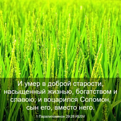 Picture 03 - 1 Паралипоменон 29:28 RUSV - И умер в доброй старости, - Bible Verse Picture