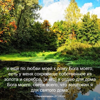 Picture 03 - 1 Паралипоменон 29:3 RUSV - и еще по любви моей к дому - Bible Verse Picture