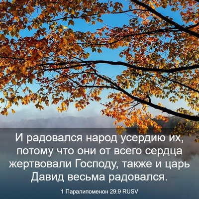Picture 03 - 1 Паралипоменон 29:9 RUSV - И радовался народ усердию - Bible Verse Picture