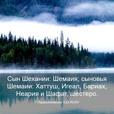 Picture 03 - 1 Паралипоменон 3:22 RUSV - Сын Шехании: Шемаия; - Bible Verse Picture