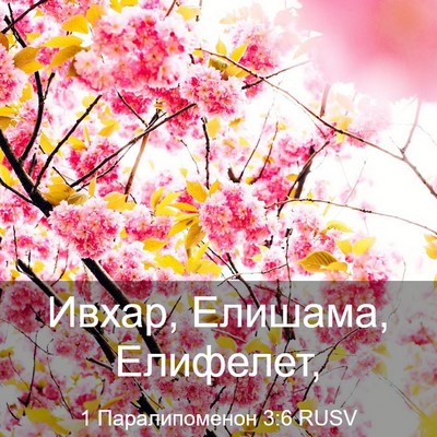 Picture 03 - 1 Паралипоменон 3:6 RUSV - Ивхар, Елишама, - Bible Verse Picture