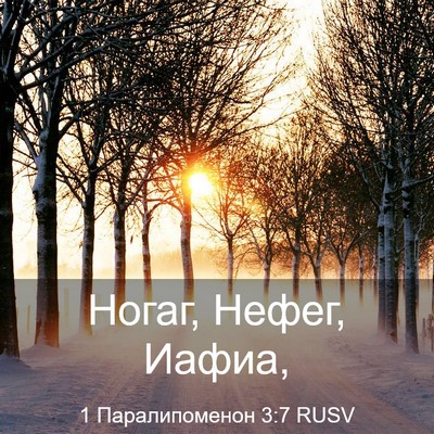 Picture 03 - 1 Паралипоменон 3:7 RUSV - Ногаг, Нефег, - Bible Verse Picture