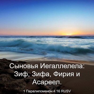 Picture 03 - 1 Паралипоменон 4:16 RUSV - Сыновья Иегаллелела: Зиф, - Bible Verse Picture