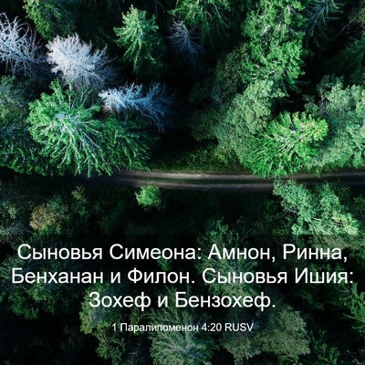 Picture 03 - 1 Паралипоменон 4:20 RUSV - Сыновья Симеона: Амнон, - Bible Verse Picture