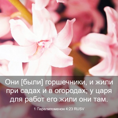 Picture 03 - 1 Паралипоменон 4:23 RUSV - Они [были] горшечники, и - Bible Verse Picture