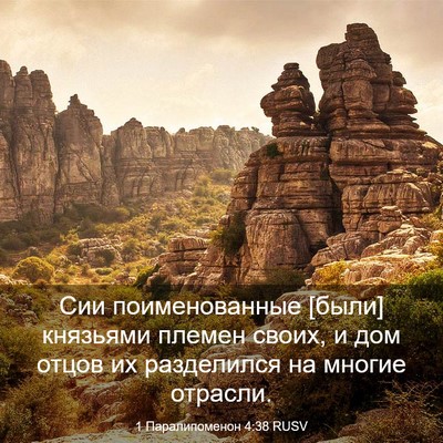 Picture 03 - 1 Паралипоменон 4:38 RUSV - Сии поименованные [были] - Bible Verse Picture