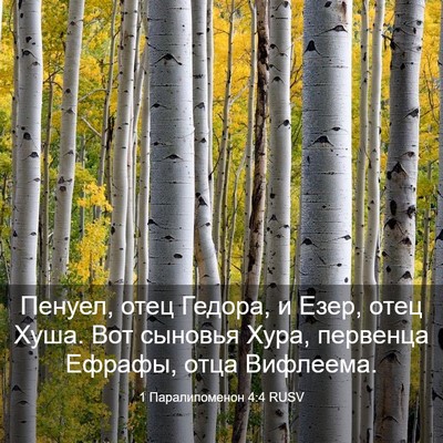 Picture 03 - 1 Паралипоменон 4:4 RUSV - Пенуел, отец Гедора, и Езер, - Bible Verse Picture