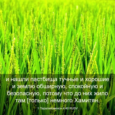 Picture 03 - 1 Паралипоменон 4:40 RUSV - и нашли пастбища тучные и - Bible Verse Picture