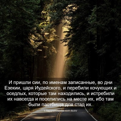 Picture 03 - 1 Паралипоменон 4:41 RUSV - И пришли сии, по именам - Bible Verse Picture