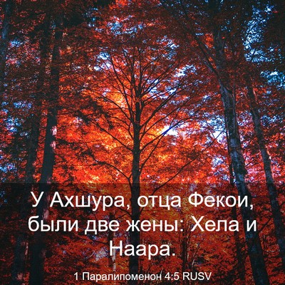 Picture 03 - 1 Паралипоменон 4:5 RUSV - У Ахшура, отца Фекои, были - Bible Verse Picture