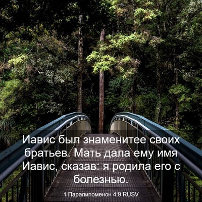 Picture 03 - 1 Паралипоменон 4:9 RUSV - Иавис был знаменитее своих - Bible Verse Picture