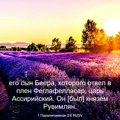Picture 03 - 1 Паралипоменон 5:6 RUSV - его сын Беера, которого - Bible Verse Picture