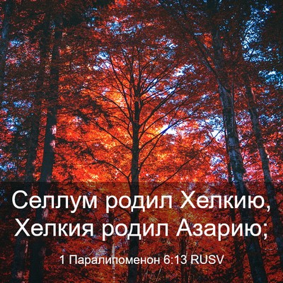 Picture 03 - 1 Паралипоменон 6:13 RUSV - Селлум родил Хелкию, - Bible Verse Picture