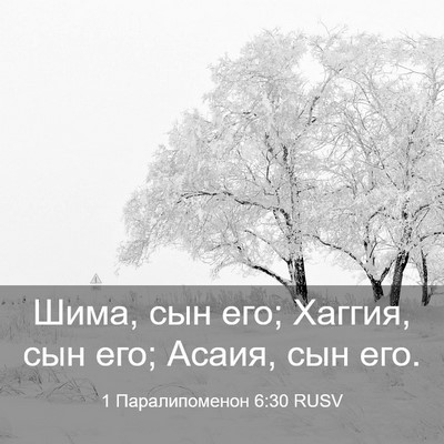 Picture 03 - 1 Паралипоменон 6:30 RUSV - Шима, сын его; Хаггия, сын - Bible Verse Picture