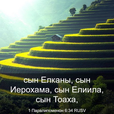 Picture 03 - 1 Паралипоменон 6:34 RUSV - сын Елканы, сын Иерохама, - Bible Verse Picture