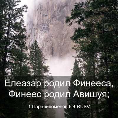 Picture 03 - 1 Паралипоменон 6:4 RUSV - Елеазар родил Финееса, - Bible Verse Picture