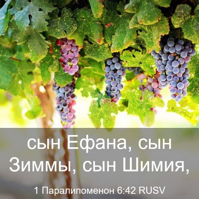 Picture 03 - 1 Паралипоменон 6:42 RUSV - сын Ефана, сын Зиммы, сын - Bible Verse Picture