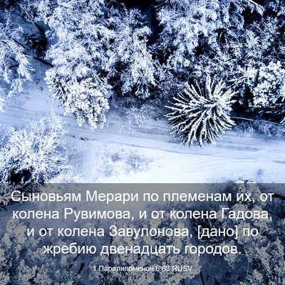 Picture 03 - 1 Паралипоменон 6:63 RUSV - Сыновьям Мерари по - Bible Verse Picture